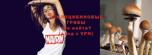 твердый Дмитров