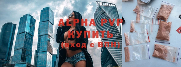 молекула духа Дмитриев