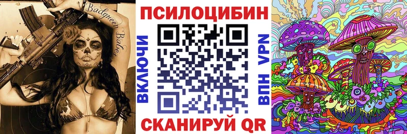 Псилоцибиновые грибы прущие грибы  Купить где  Сунжа 